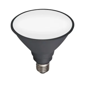 10W PAR38 LED 6K LAMP ONLY