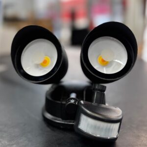 30W LED SECURITY LIGHT TWIN CCT